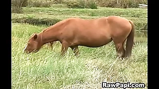 Horny Sexy Latino Gay Anal Pounding Hardcore