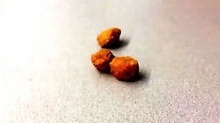 Joyous Nugget Porn