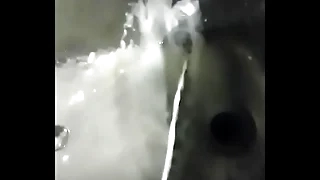 Beefy Cum Blast into Shed Trough 720p